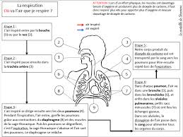 Page Introuvee Au Secours Le Cartable De Severine Air Pollution Pollution Science