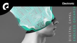 Even if they are on different colours, two camels cannot checkmate a lone king. Digital Camel Walk The Path Youtube