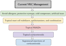 Image result for Vernal Conjunctivitis