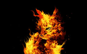 Below are 10 top and newest skulls and flames wallpaper for desktop computer with full hd 1080p (1920 × 1080). Flames Wallpaper 1920x1200 74064