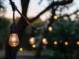 Rope Light Ideas With Pictures Designs And More For 2020 Own The Yard