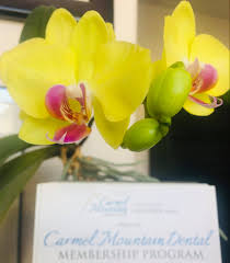 We did not find results for: Carmel Mountain Dental Office Home Facebook