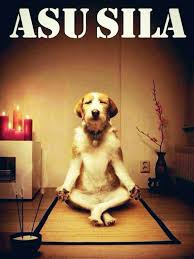  8 Ide Call Of Duty Ungkapan Lucu Sms Lucu Cartoon Jokes