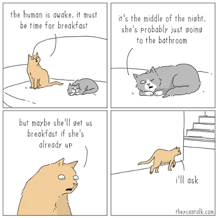 We're glad we don't have to deal with this in the morning. With as many as  a dozen cats on site, it would be difficult to sleep if a single one got