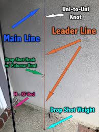 Put a loop on the end of the tag. Drop Shot For Speckled Trout Parts You Need How To Tie It