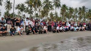 We did not find results for: Kembangkan Ekowisata Warga Lepas Anak Penyu Di Pantai Lowita Suara Sulsel