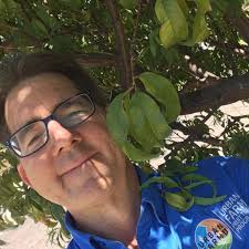 Small Space Gardening Archives