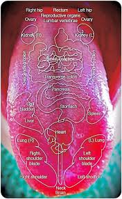 Diagnostic Tongue Maps Elemental Changes Oriental Medical