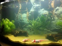 Just Chillin Aquarium Black Sand Sand