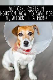 It is our commitment to provide quality veterinary care throughout the life of your pet. Vet Care Costs In Houston How To Save For It Afford It More Mclife Houston Apartment Communities