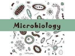 introduction to microbiology علم الأحياء الدقيقة الكائنات الدقيقة الجراثيم أوالميكروبيولوجي youtube cross stitch microbiology stitch