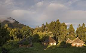 Showing the jesus film 16 languages 4. Uganda Nationalparks Hotels Camps Lodges