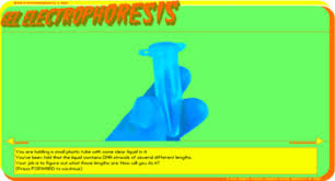 Gel Electrophoresis Virtual Lab Worksheets Teaching Resources Tpt