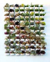Wait a few days before hanging your diy succulent wall planter or putting it vertically until the plants recover and establish well. 13 Outdoor Succulent Wall Garden Ideas Dalla Vita