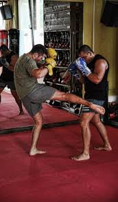 Afli tot ce misca in sport, in timp real! Portofoliu Escorpion Fabrica De Sport Cluj Baza Sportiva Cluj Tatami Pro