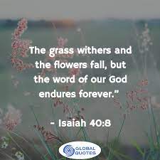 Pin On Amazing Bible Verses
