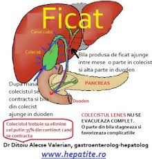 În perioada sărbătorilor cel mai des ne întâlnim cu durerile abdominale (în partea dreaptă a abdomenului) însoțite de greață, vărsături și dureri de cap apărute după o masa bogată în grăsimi și alcool. Fierea Lenesa Colecistul LeneÈ™ Simptome Diagnostic Regim Cabinet De Gastroenterologie Si Hepatologie Bucuresti 0758 751 841