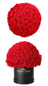 Pin On Rose Hat Box