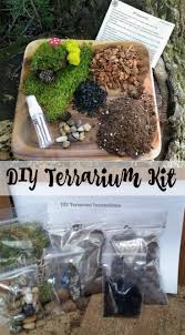 The Perfect Diy Terrarium Kit All You Need Is A Container Make A Fun Little Fairy Garden A Terrarium With D Terrariums Kits Terrarium Diy Diy Terrarium Kit