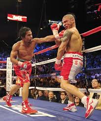 Pin By Michele Honaker On Fight Night Boxing Miguel Cotto Manny Pacquiao Sports