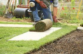 With spring right around the corner and great weather already here, know how to take care of your new sod. Pin On Gardening