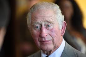 Prince Charles' team shuts down reports he asked about Archie's skin color