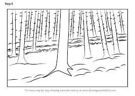 How to draw a forest with pencil step by step. Learn How To Draw Forest Trees Forests Step By Step Drawing Tutorials How To Draw Forest Draw Forest How To Draw Forest Trees