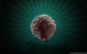 Pngtree offers hd surreal background images for free download. Surreal Wallpaper Backgrounds Desktop Background