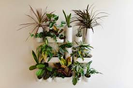 Whether you live in a big city or someplace that gets cold 9 months out of the year, indoor herb gardens provide so many benefits. A Vertical Indoor Wall Garden Before After By Judith Mackin Robert Moore Kelly Lawson Tuck Studio