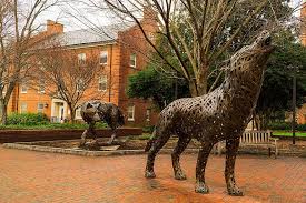 The same thing that connects it to every corner of north carolina: Wolf Pack Nc State Wolf Pack Wolf Pack Statues Wolf Pack Symbols North Carolina State University College Campus Education Students Academic Historic Pikist