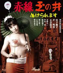 Amazon.co.jp | 赤線玉の井 ぬけられます [Blu-ray] DVD・ブルーレイ - 宮下順子, 芹明香, 丘奈保美, 中島葵,  吉野あい, 絵沢萠子, 蟹江敬三, 江角英明, 殿山泰司, 神代辰巳