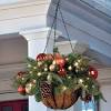 Winter flowers for pots and hanging baskets. 3