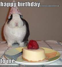 Happy Birthday To Me Rabbits Know Your Meme
