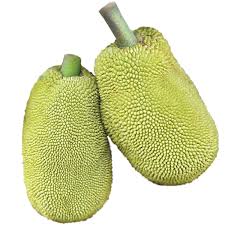 jackfruit produce market guide jackfruit produce market guide