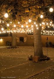 Pin On Rustic Outdoor Wedding