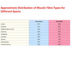 Slow Twitch And Fast Twitch Muscle Fibres Did You Eat White