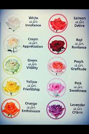 Rose Color Meanings Rose Color Meanings Flower Meanings Rose Meaning