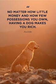 40 Best Dog Quotes Cute Sweet Quotes About Dogs If you're planning a dog adoption announcement, you'll need some cute new puppy quotes to include! 40 best dog quotes cute sweet quotes