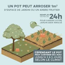 Epingle Sur Vegetation Plante Arbres