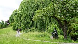 Opening & closing timings, parking options, restaurants nearby or what to see on your visit to rieterpark? Rieterpark Cityparks Ch