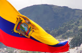 How much of mario pineda's work have you seen? Ecuador Archives Page 10 Of 10 The Dialogue