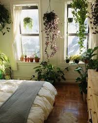 Plant Bedroom Interior Inspo Home Decor Bohemian Bedroom Decor Home