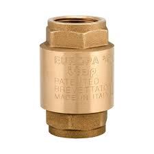 Buy check valves including barrel spring, swing, disc, foot valves, ball, wafer pattern & dual plate check valves. 100 Europa Check Valve Itap
