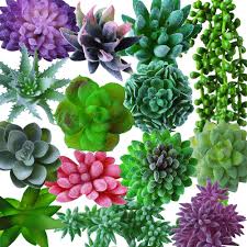Maybe you would like to learn more about one of these? Outee 14 Pcs Artificial Succulents Plants Fake Succulent Plants Assorted Flocking Textured Aloe Stems Faux Succulent Bouquet String Of Pearls Succulent Decor For Lotus Landscape Garden Amazon In Jewellery