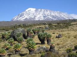 Image result for kilimanjaro mountain
