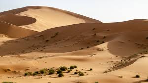 Algerian head scarf, taghit, algeria. Philippe Jeanty Algeria Taghit