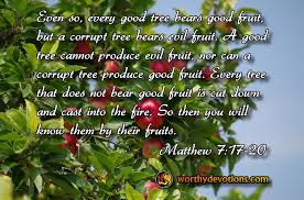Good trees and bad trees. Be Fruitful In Spite Of Your Circumstances Worthy Christian Devotions Daily Devotional