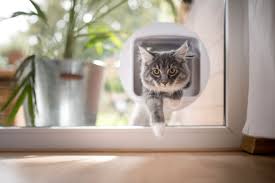 Katzenklappe Fur Glastur Glasfenster Einbau Kosten
