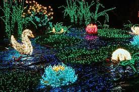 Outside Christmas Lights Swan Pond How Unusual 3 Christmas Light Installation Outdoor Christmas Lights Christmas Lights