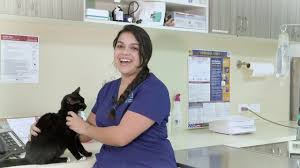 0.0 (0 ratings & reviews). Kendall Animal Medical Center